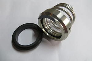 Image for Mechanical Seals